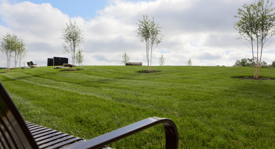 A beautifully landscaped yard in Tallyn Ridge, featuring a bench