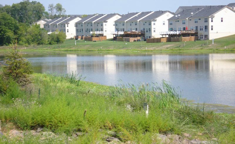 A tranquil view of the backside of charming townhomes overlooking a serene small pond.